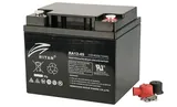 Батарея аккумуляторная Ritar RA12-45, F11(M6), 12V/45Ah, 169x198x166 HxLxW, 12.5kg, 12 лет