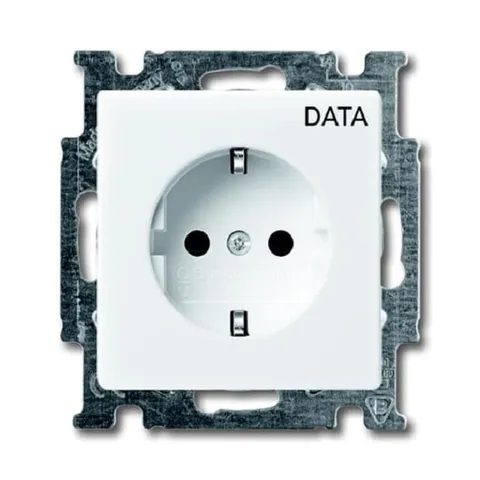 Basic 55 - Розетка 2P+E нем. стд.с маркировкой DATA (сл.кость)