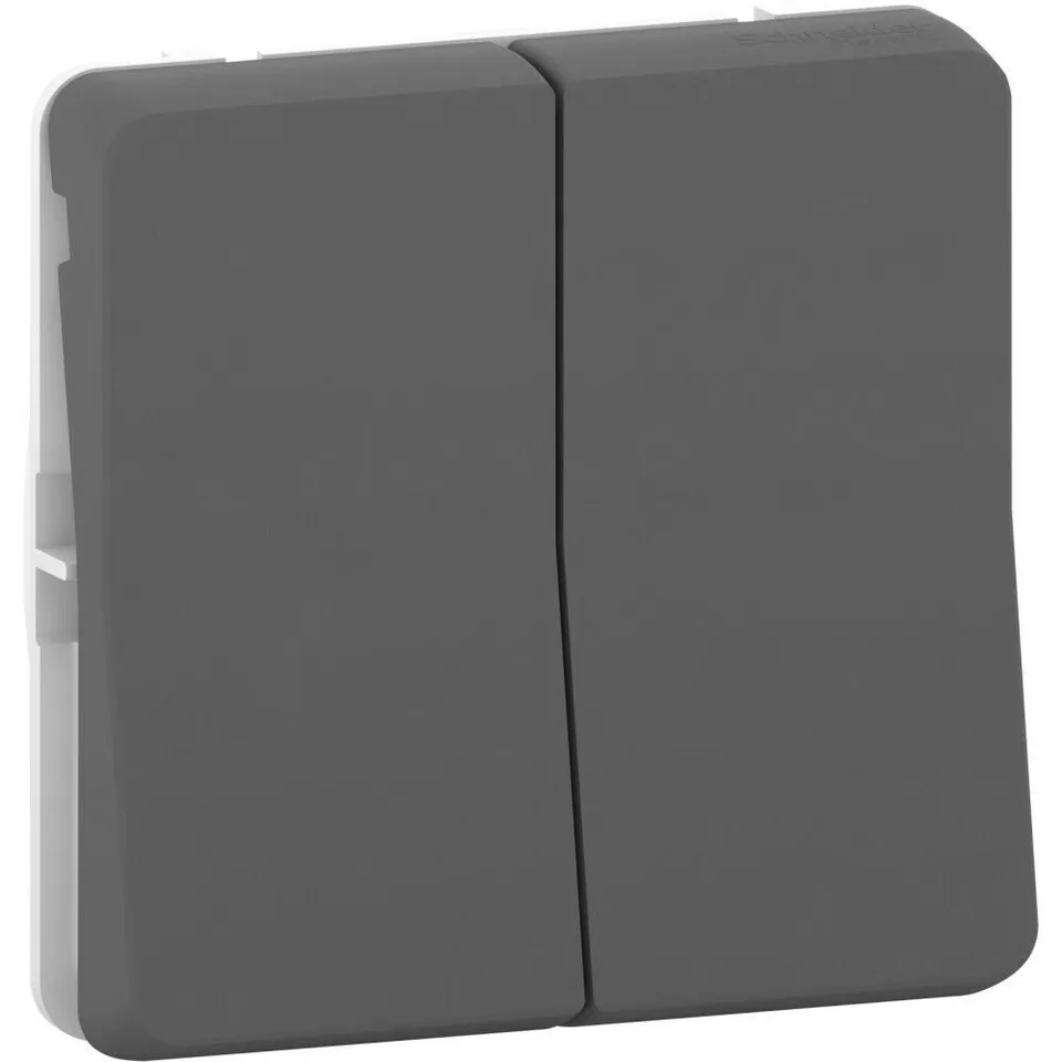 Выключатель Schneider Electric Mureva, S, двойной кнопочный, механизм, антрацит, IP55