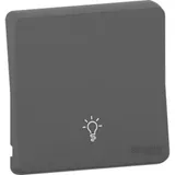 Лицевая панель Schneider Electric Mureva, S, клавиша с символом "свет", антрацит, IP55