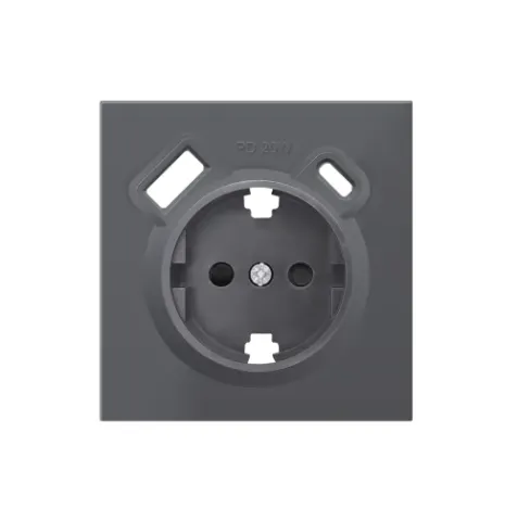 Накладка для розетки Schuko с зарядным устройством USB A+C, с защитными шторками, черный, серия R98