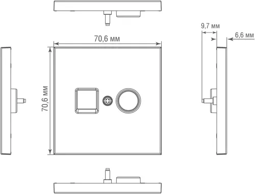 Накладка для розеток RJ45+SAT, 2-я, благородная сталь, серия R98 METAL