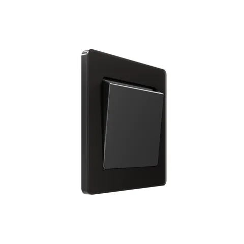 Выключатель Systeme Electric Infinity, карточный скрытой установки с выдержкой времени (230В, 25АХ), Полярная ночь