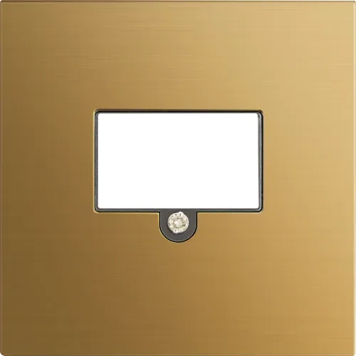 Накладка стандарта TAE для розеток USB, HDMI, Аудио, матовое золото, серия R98 METAL