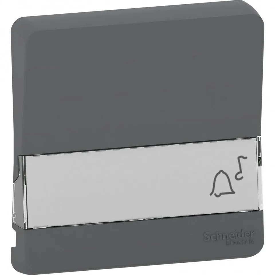 Лицевая панель Schneider Electric Mureva, S, клавиша с полем для этикеток, антрацит, IP55