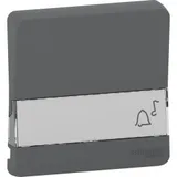 Лицевая панель Schneider Electric Mureva, S, клавиша с полем для этикеток, антрацит, IP55