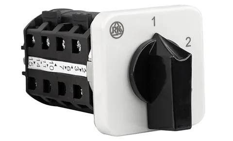 Переключатель BS 16 87 U, 2P, 20A, тип 1-2-3-4, 2NO на 1_4, на дверь, фронт IP40