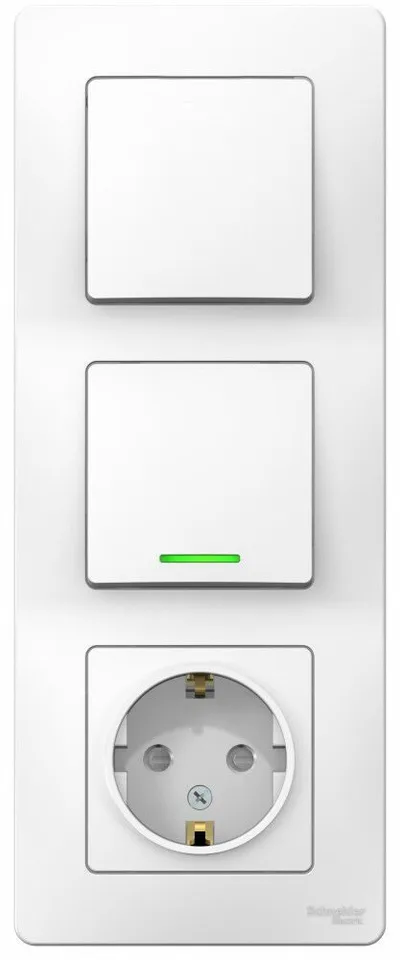 Блок Systeme Electric Blanca, скрытой установки : розет з/к шт 16А, 250В+выкл 1кл. с подсв+выкл 1кл. белый