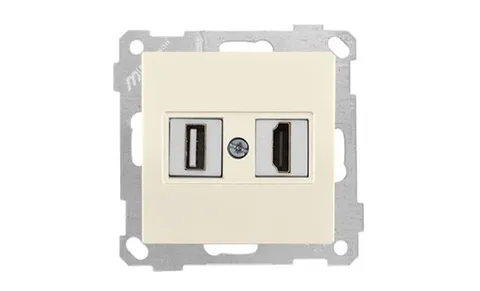 21 - Розетка HDMI + USB Type A, для передачи данных, сл.кость