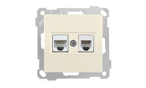 21 - Розетка телефонная RJ-12+RJ-45 кат.5е, сл.кость
