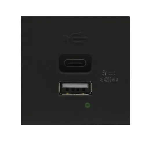 USB зарядное устройство, 4.2A , Type A + C, 2 мод., черн. матовая (45х45мм)