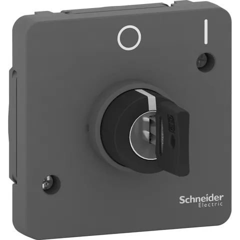 Выключатель Schneider Electric Mureva, S, переключатель с ключом на 2 положения, 3А, механизм, антрацит, IP55