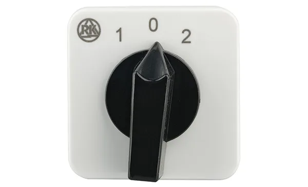 Переключатель BS 16 202 U, 2P, 20A, тип 1→0←2, 2NO на 1_2, на дверь, фронт IP40