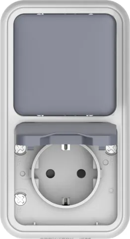 Двойной блок накладной, розетка с защитной крышкой+переключатель 1-клавишный, цвет серый, IP55, серия W55