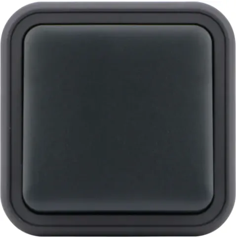 Переключатель 1-клавишный накладной, цвет антрацит, IP55, серия W55