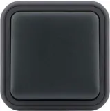 Переключатель 1-клавишный накладной, цвет антрацит, IP55, серия W55