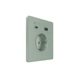 Розетка + USB Systeme Electric Infinity, скрытой установки с зк и зар. устр. А+С 20Вт (250В, 16А, защит. шторки), Таежное утро