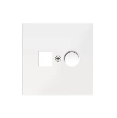 Накладка для розеток RJ45+SAT, 2-я, белый, серия R98