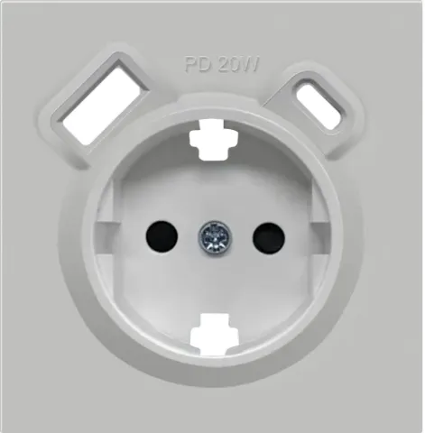 Накладка для розетки Schuko с зарядным устройством USB A+C, с защитными шторками, матовый серый, серия R98