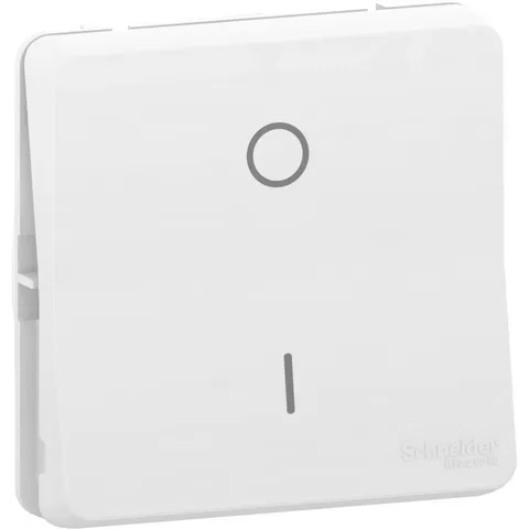 Выключатель Schneider Electric Mureva, S, переключатель 2-полюсный, механизм, белый, IP55