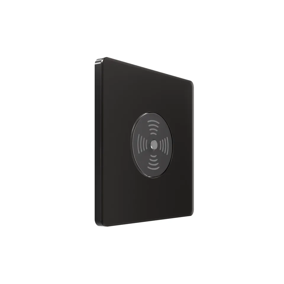 Выключатель Systeme Electric Infinity, звуковой скрытой установки 100Вт с выдержкой времени (230В), Полярная ночь