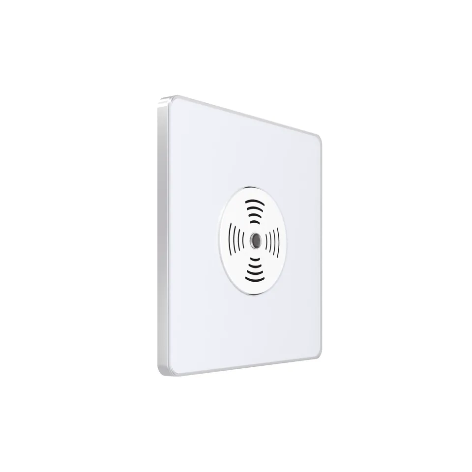 Выключатель Systeme Electric Infinity, звуковой скрытой установки 100Вт с выдержкой времени (230В), Арктический лед