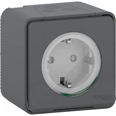 Клемма Schneider Electric Mureva, S, розетка с з/к. и шт., открытой устан., винтов., антрацит, IP55