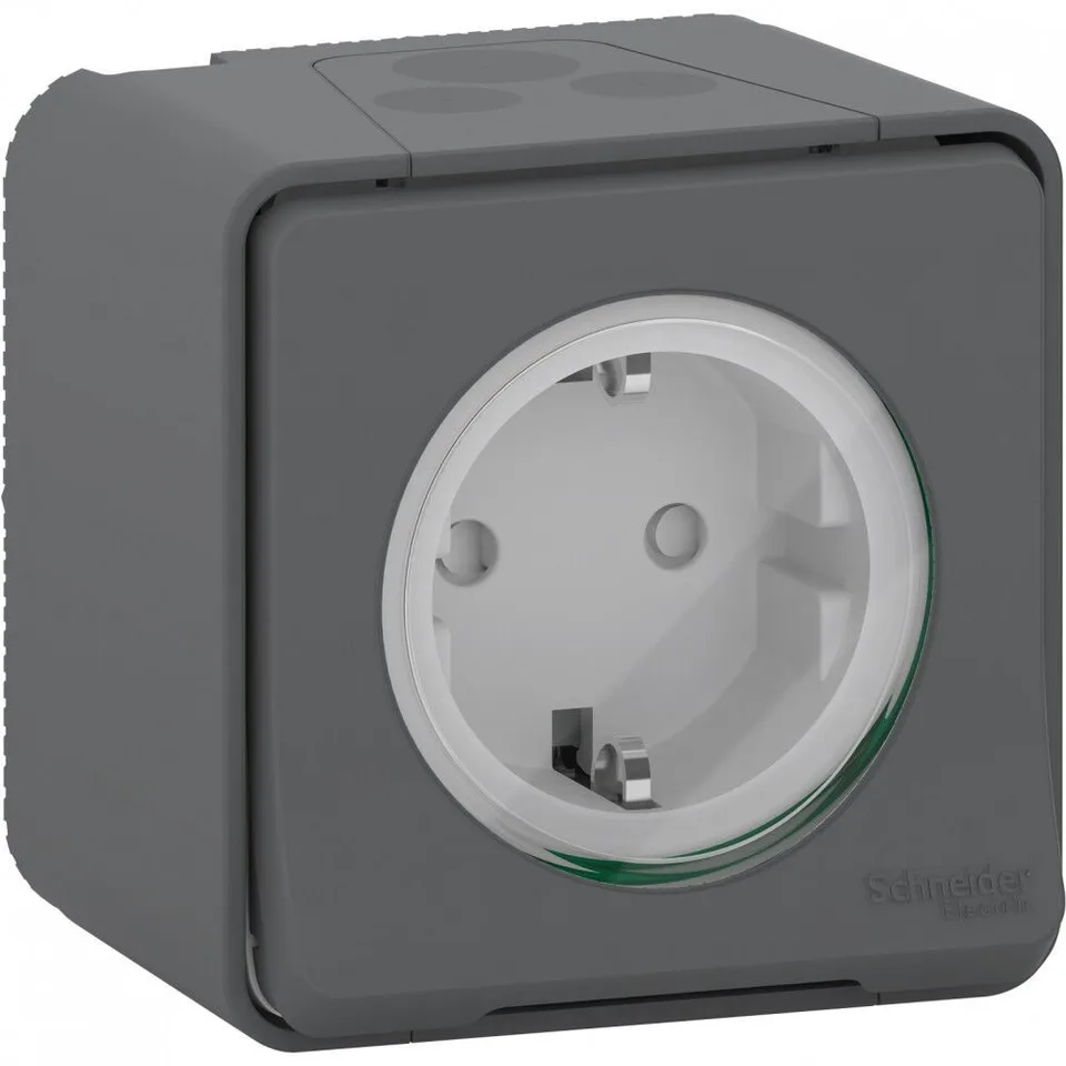 Клемма Schneider Electric Mureva, S, розетка с з/к. и шт., открытой устан., винтов., антрацит, IP55