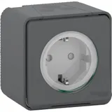 Клемма Schneider Electric Mureva, S, розетка с з/к. и шт., открытой устан., винтов., антрацит, IP55