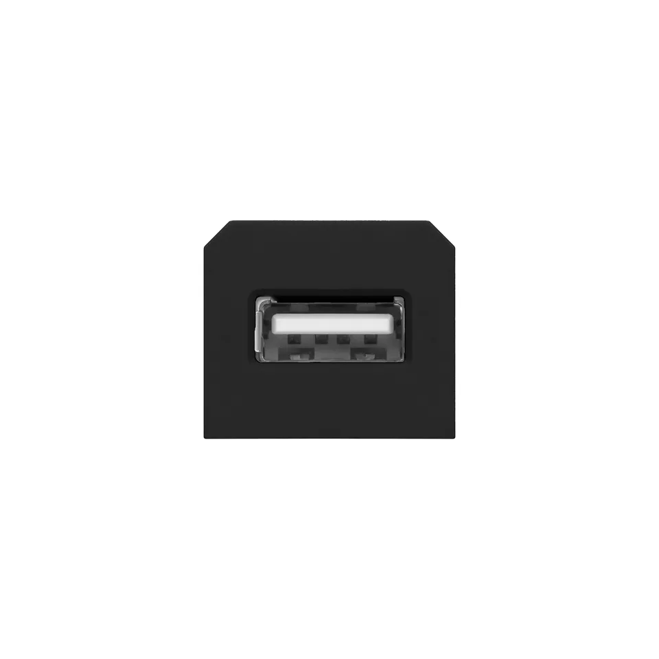 Розетка сменная модульная USB, для блока OR-GM-9015/B, черный