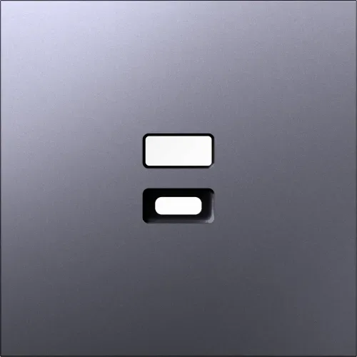Накладка для розеток USB, сталь, серия S08