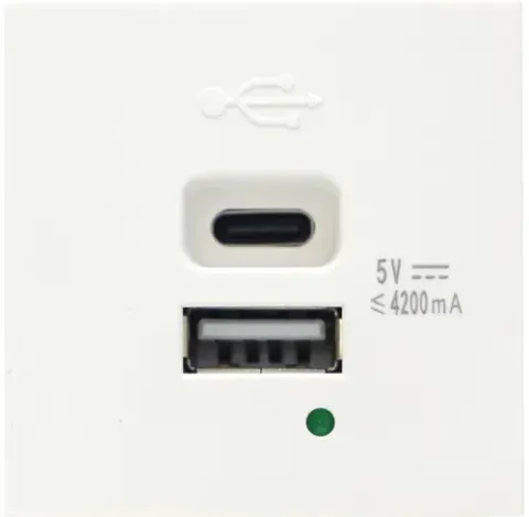 USB зарядное устройство, 4.2A , Type A + C, 2 мод., бел. матовая (45х45мм)