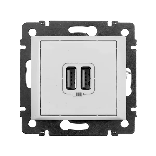 Valena - Розетка с 2-мя коннекторами USB, белая