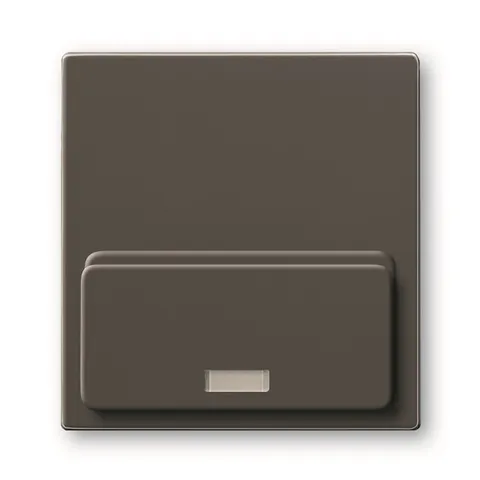 Basic 55 - Лицевая панель для Busch-iDock 8218U (шато-черный)