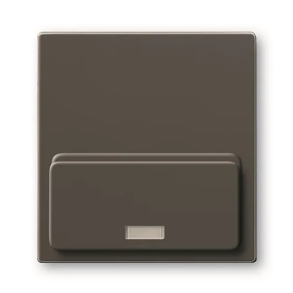Basic 55 - Лицевая панель для Busch-iDock 8218U (шато-черный)
