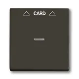 Basic 55 - Лицевая панель для выключателя с ключом-карточкой механизм 2025U (шато-черный)