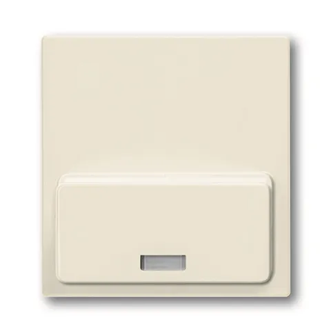 Basic 55 - Лицевая панель для Busch-iDock 8218U (шале-белый)