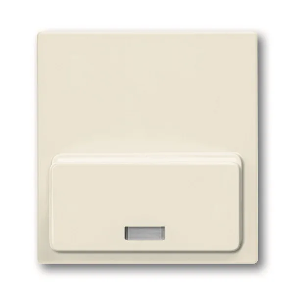 Basic 55 - Лицевая панель для Busch-iDock 8218U (шале-белый)