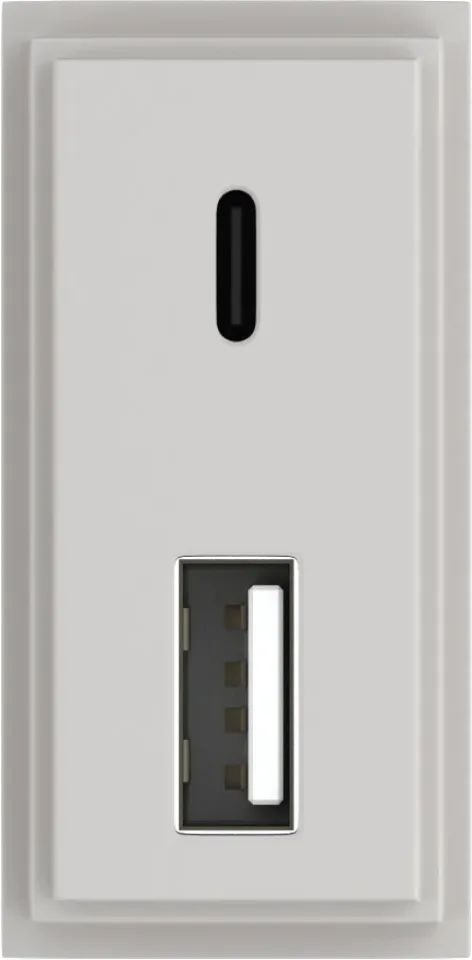 Зарядное устройство USB Стандарт A-С 5V 3100мА 1 модуль, серый