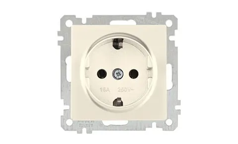 21 - Розетка 2P+E, сл.кость