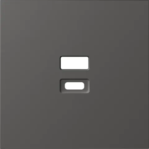 Накладка для розеток USB, матовый титан, серия S08