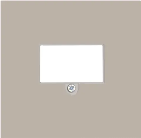 Накладка стандарта TAE для розеток USB, HDMI, аудио, матовый кашемир, серия R98