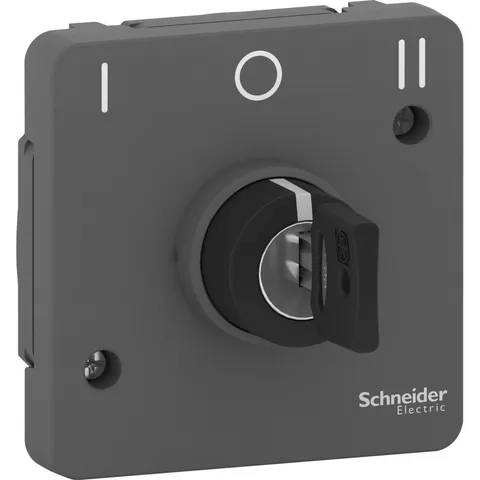Выключатель Schneider Electric Mureva, S, переключатель с ключом на 3 положения, 3А, механизм, антрацит, IP55