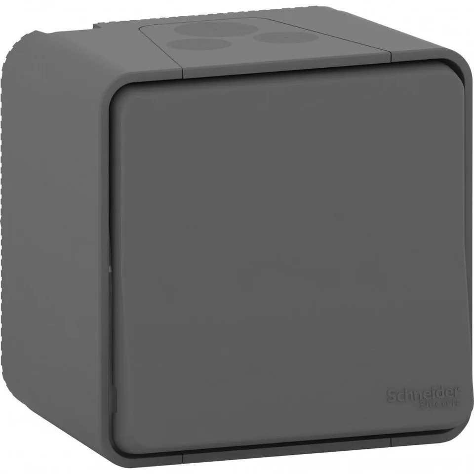 Выключатель Schneider Electric Mureva, S, переключатель 2-полюсный, открытой установки, антрацит, IP55