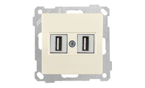 21 - Розетка 2xUSB Type A, для передачи данных, сл.кость