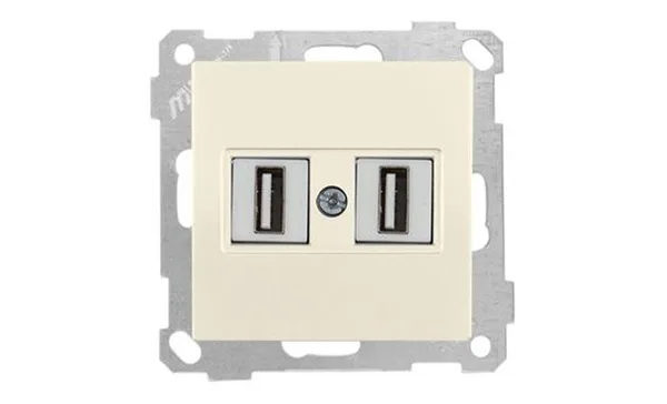 21 - Розетка 2xUSB Type A, для передачи данных, сл.кость