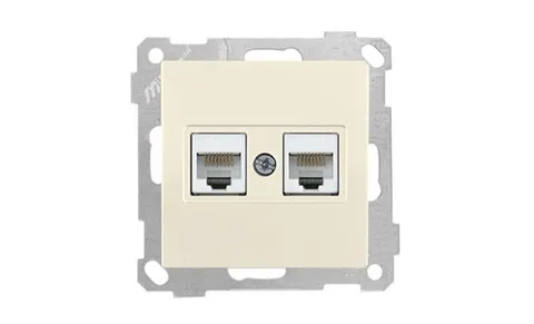 21 - Розетка 2хRJ-45 кат. 5e UTP, сл.кость