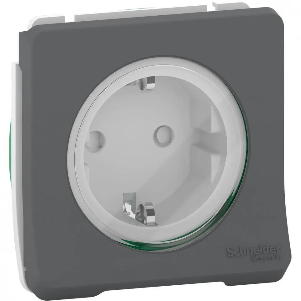 Клемма Schneider Electric Mureva, S, розетка с з/к. и шт., винтовые, механизм, антрацит, IP55