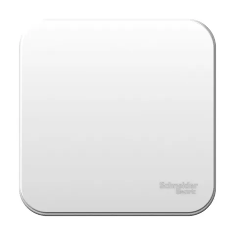 Выключатель Systeme Electric Blanca, открытой установки 1-клавишный (cх.1) монт. пл., 10А, 250B, белый