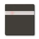 Basic 55 - Обрамление для инфракрасного выключателя 6815U,6816U,40-300Вт (шато-черный)